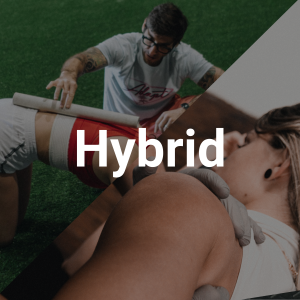 adapt hybrid training