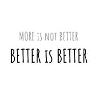 more is not better better is better