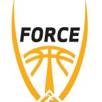 force basketball