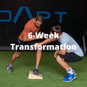 adapt 6 week transformation training