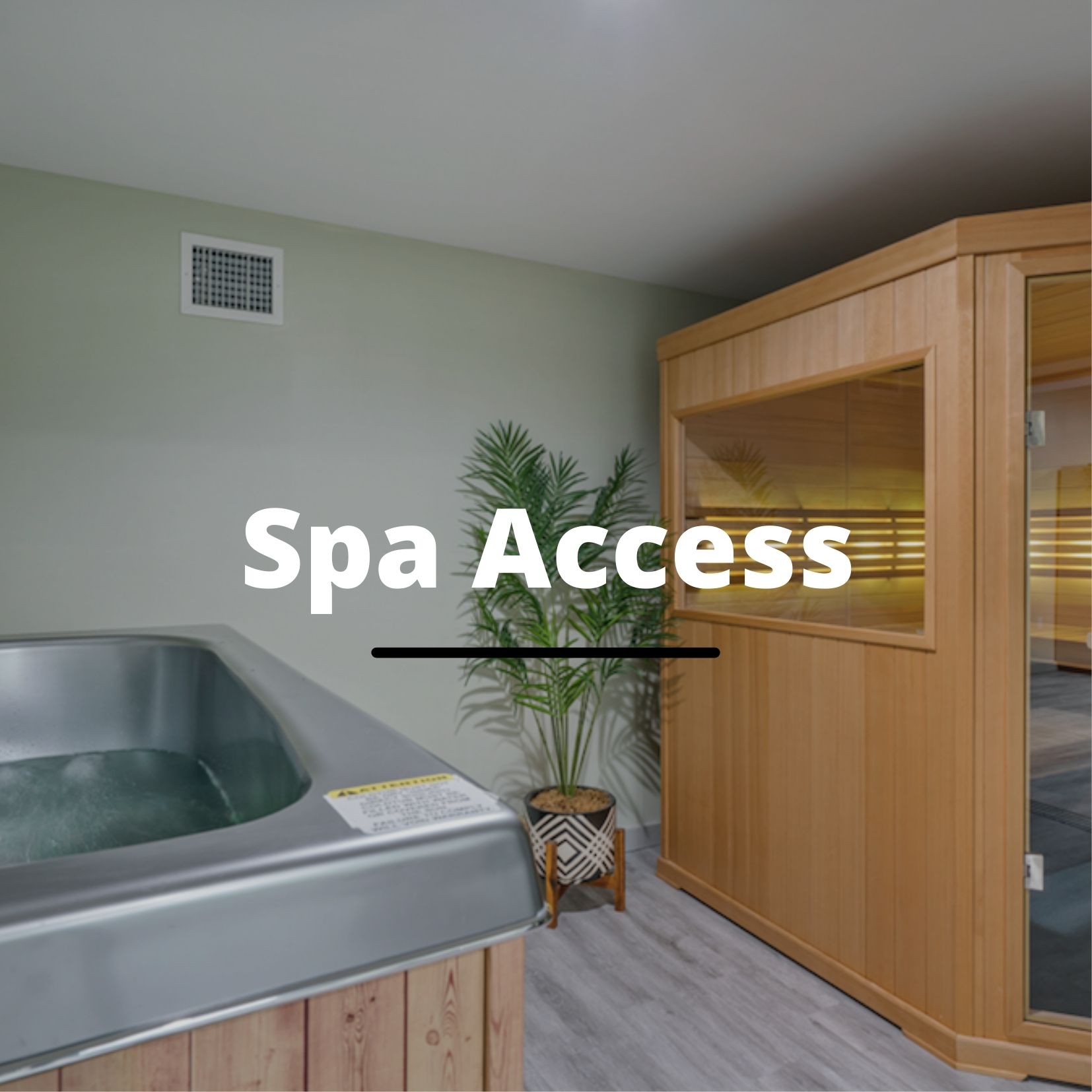 adapt spa access