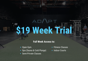 adapt $19 week trial