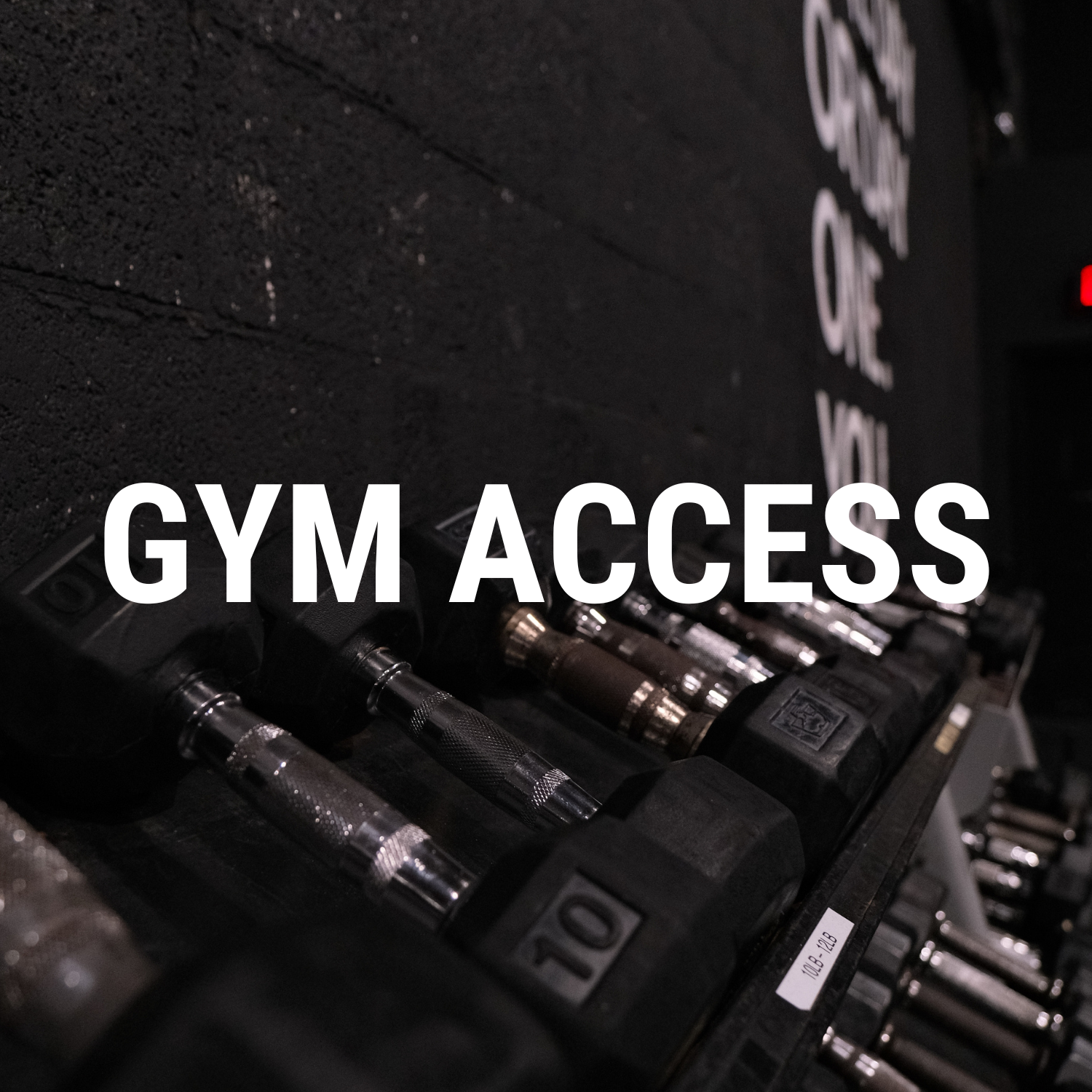 adapt gym access