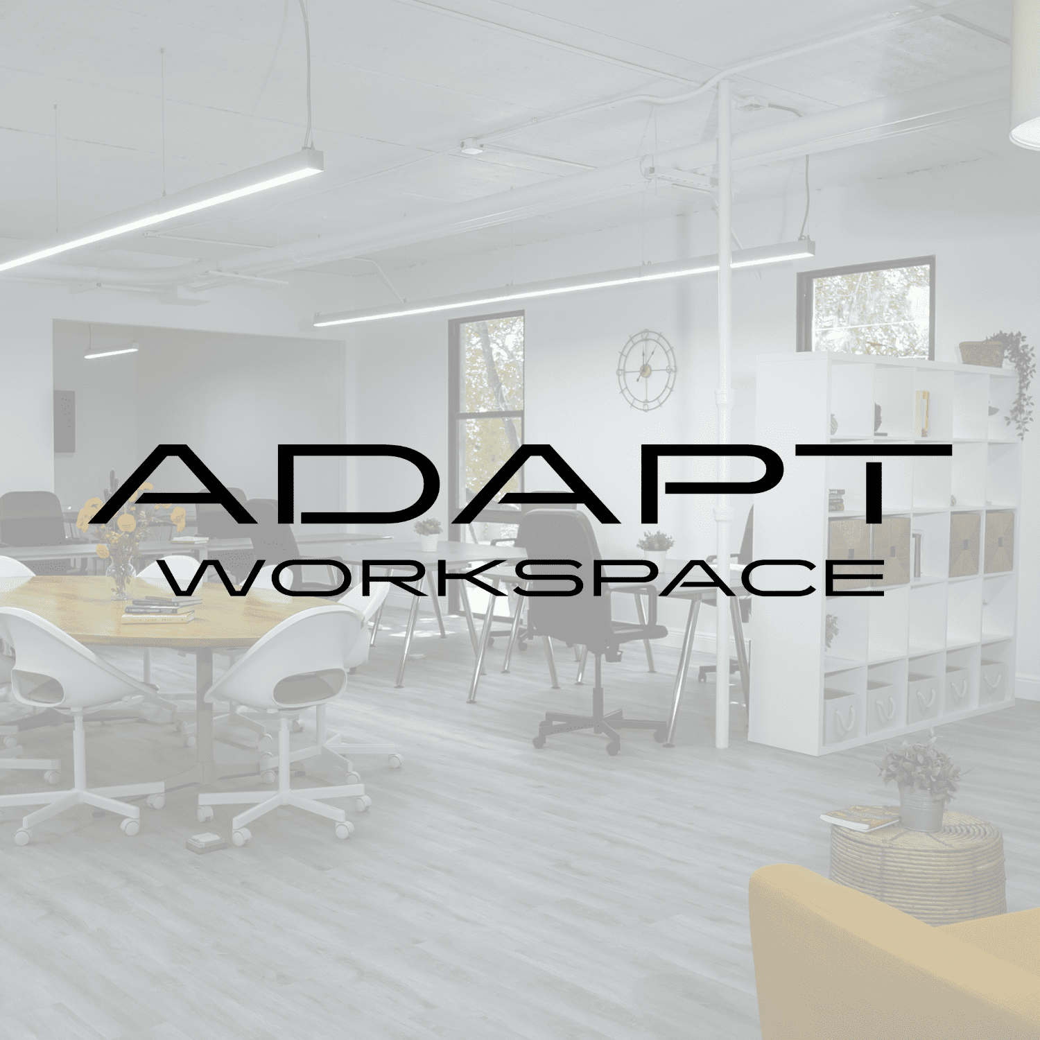 Website work (2)